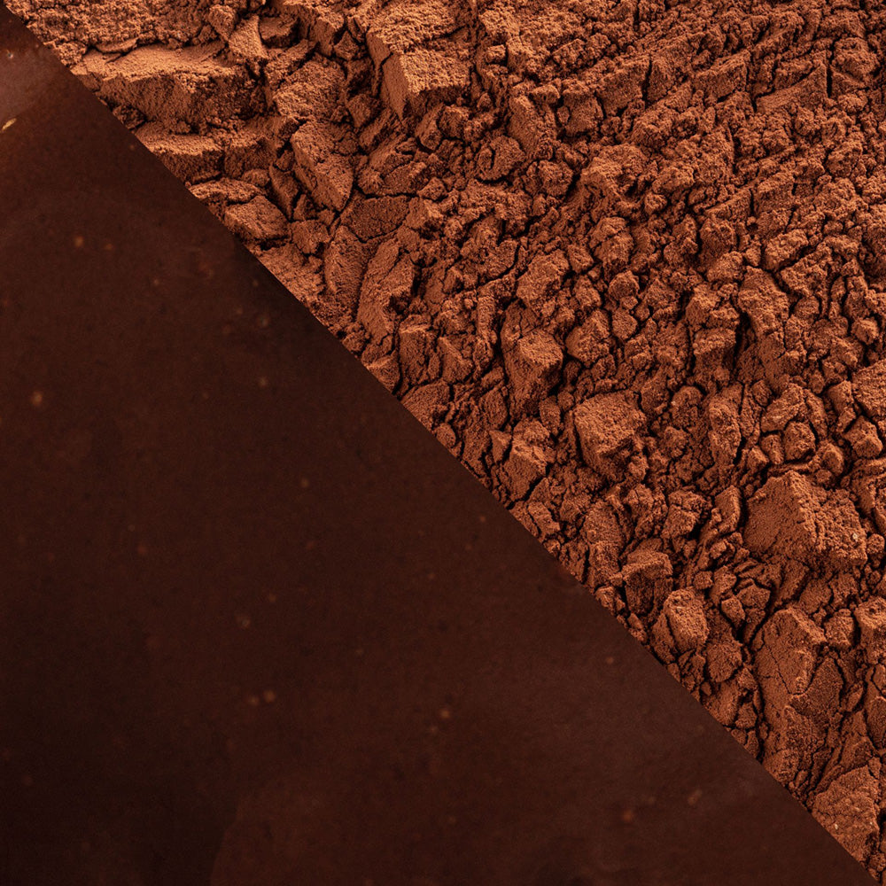 Cacao Barry Extra Brute Dutched Cocoa Powder - 1 kg