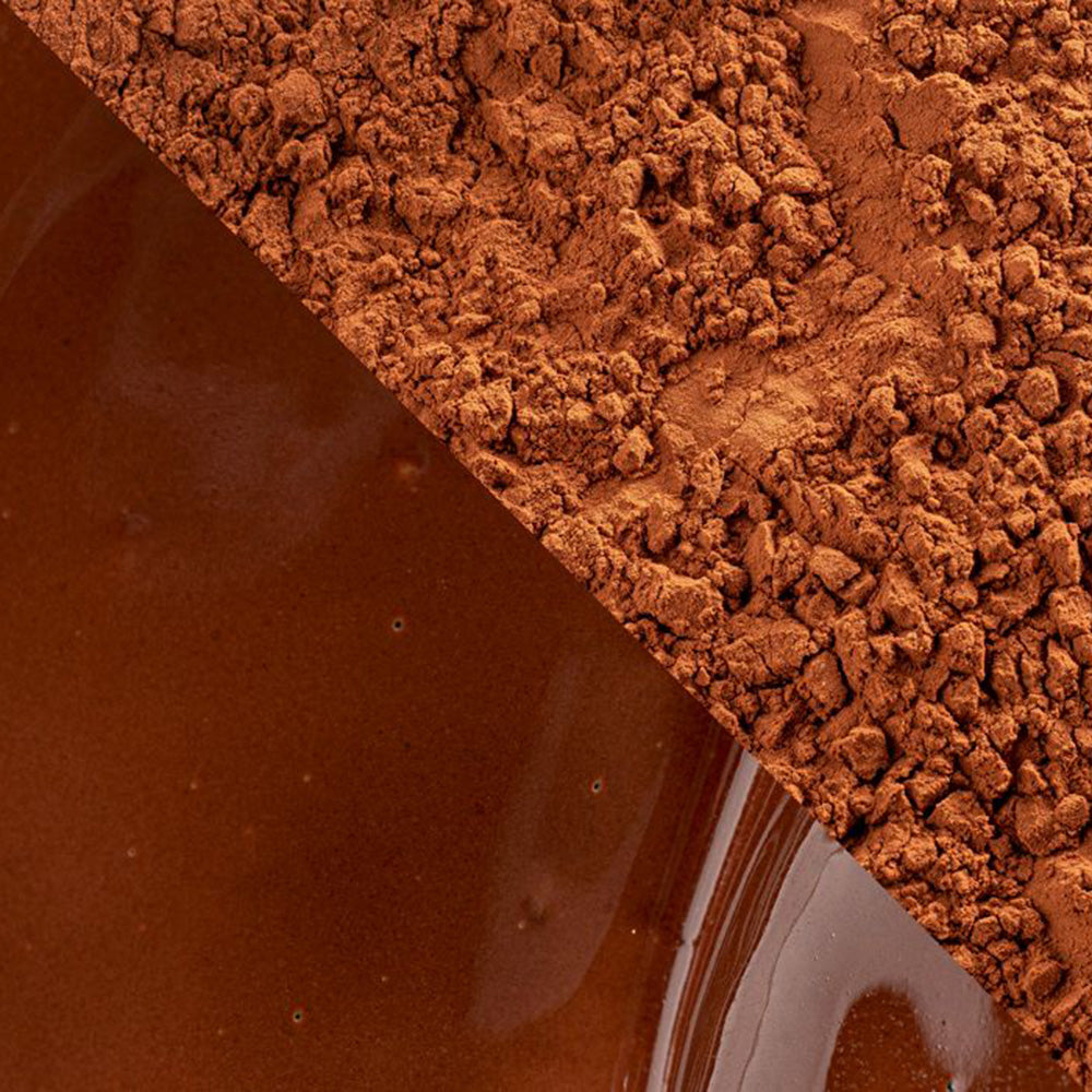 Cacao Barry Plein Arome Dutched Cocoa Powder