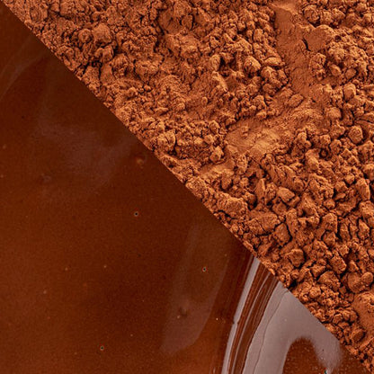 Cacao Barry Plein Arome Dutched Cocoa Powder