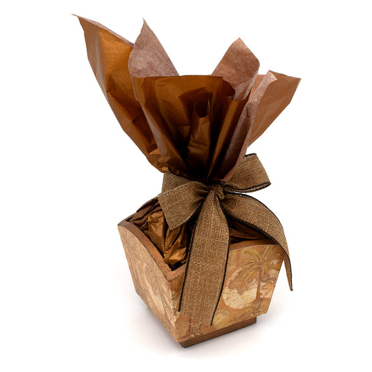 Chocosphere Tropic of Cacao Chocolate Assortment Gift Pot