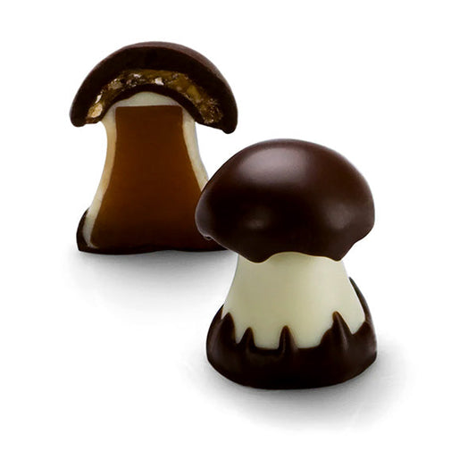 Michel Cluizel Box of Chocolate Caramel Mushrooms - 7 pc - 125g