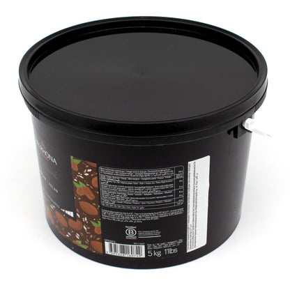 Valrhona 50% Pecan Praliné Paste Pail - 5 kg