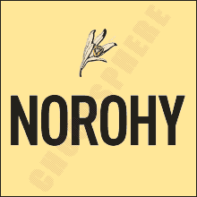Norohy