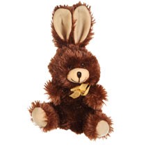 Stuffed (not chocolate) bunny