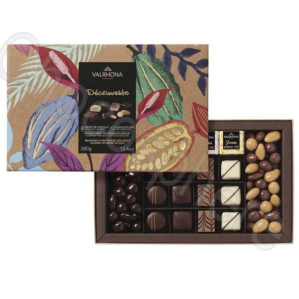Discovery Chocolate Gift Box 380g