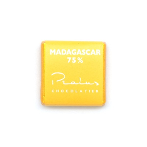 Francois Pralus Madagascar 75% Single Origin Dark Chocolate Napolitain Single - 5 grams