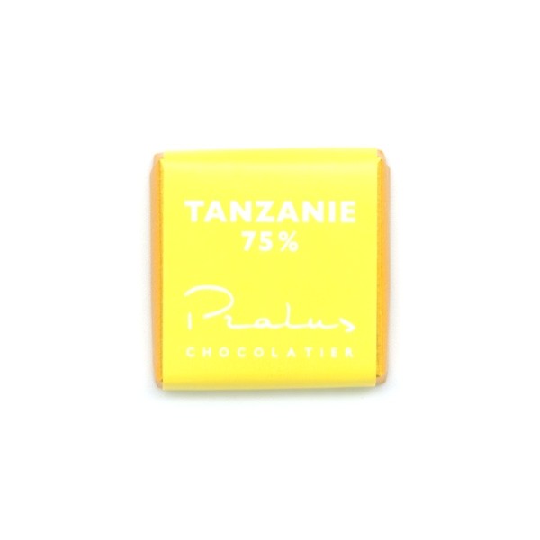 Francois Pralus Tanzanie 75% Single Origin Dark Chocolate Napolitain Single - 5 grams