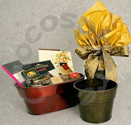 “Flower Pot” Packaging