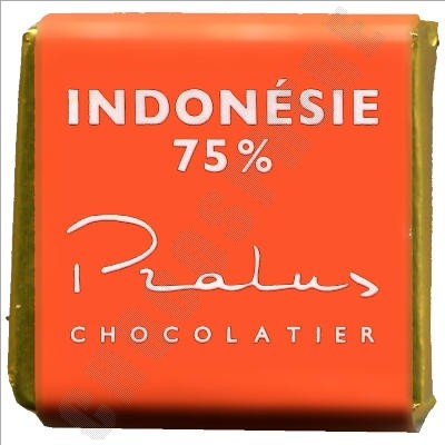 Francois Pralus Indonesia 75% Single Origin Dark Chocolate Napolitains - 1kg