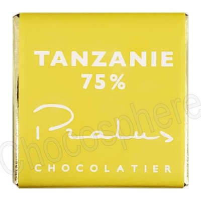 Francois Pralus Tanzanie 75% Single Origin Dark Chocolate Napolitains - 1kg