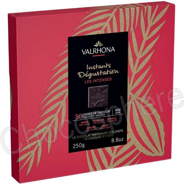 Instants Degustation Les Intenses 50-Square Gift Box 250g