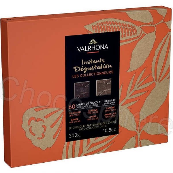 Instants Degustation Les Collectionneurs 60-Square Gift Box 300g
