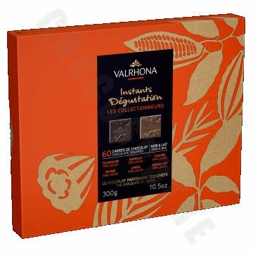 Instants Degustation Les Collectionneurs 60-Square Gift Box 300g