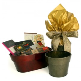 Chocosphere Chocosphere Chocolate Assortment Gift Flower Pot