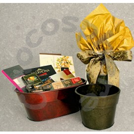 Chocosphere “Flower Pot” Packaging