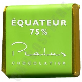 Pralus Ecuador BIO 75% Bulk Square