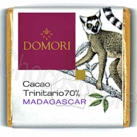 Domori Trinitario Madagascar 70% Dark Chocolate Tasting Square
