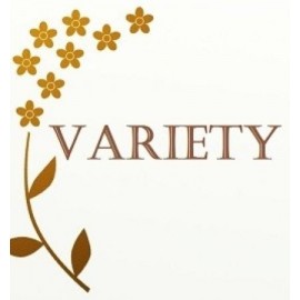 Chocosphere Variety Chocolate of the Month Club