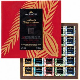 Valrhona Instants Degustation Les Intenses 50-Square Gift Box 250g