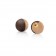 Venchi Caramel Chocolate with whole Caramelized Hazelnut Pearl Unwrapped